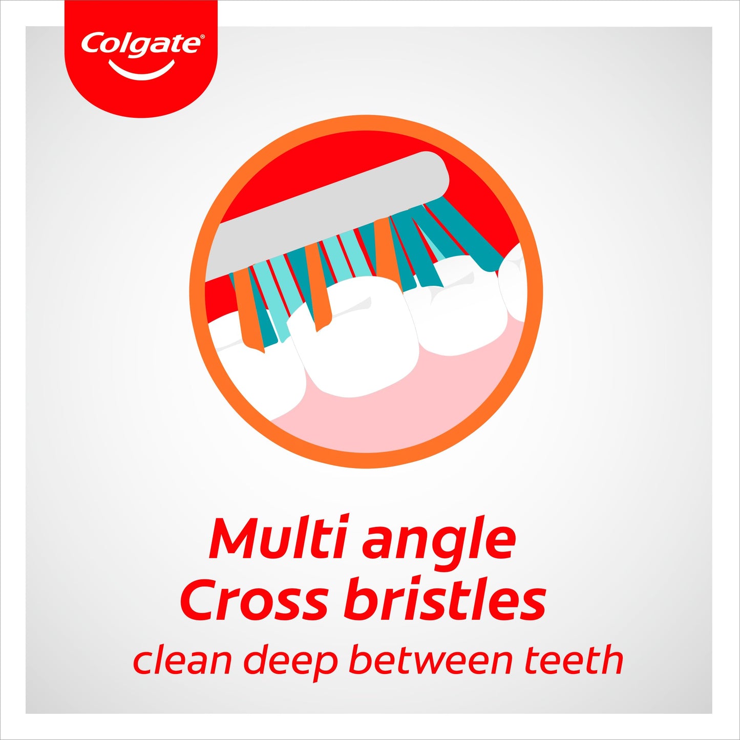 Colgate Zig Zag Firm Manual Toothbrush